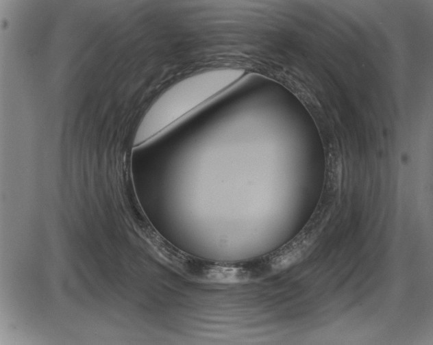 X0000087630227200705030735