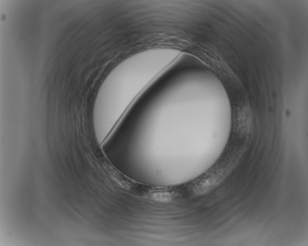 X0000087630228200705030735