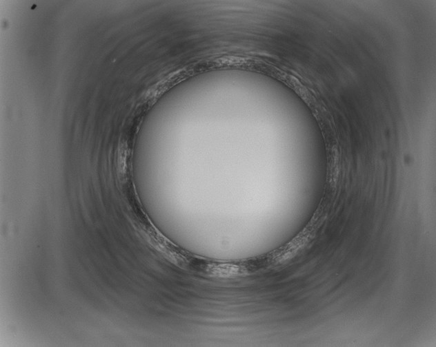 X0000087630230200705030735