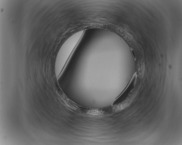 X0000087630231200705030735