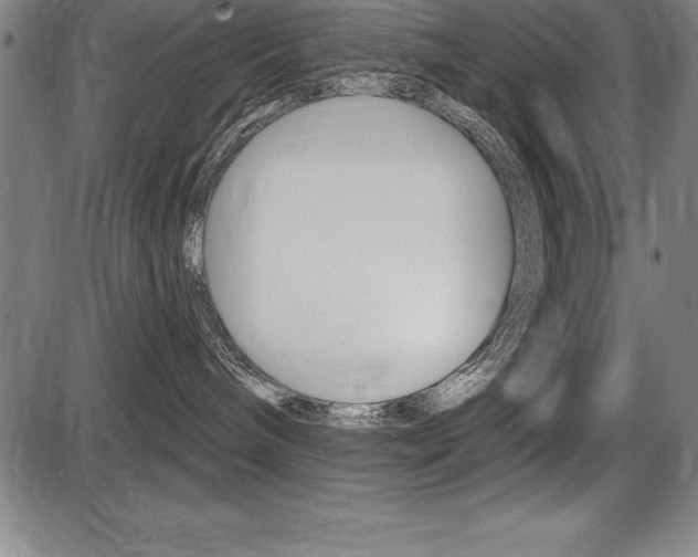 X0000087630240200705030735
