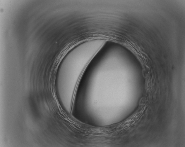 X0000087630241200705030734