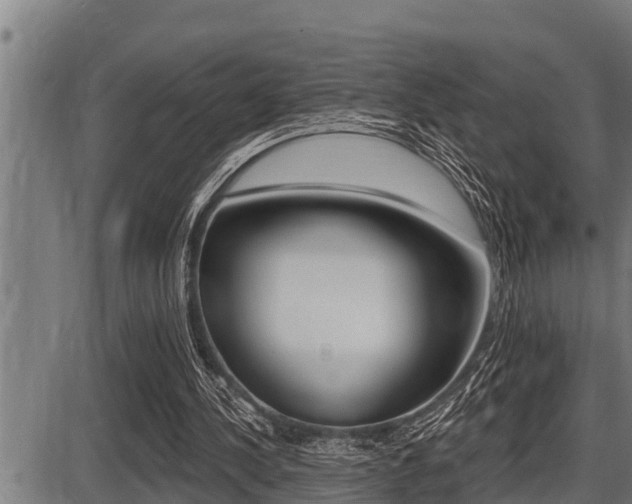 X0000087630244200705030734