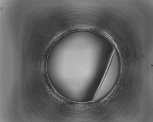 X0000087630249200705030734