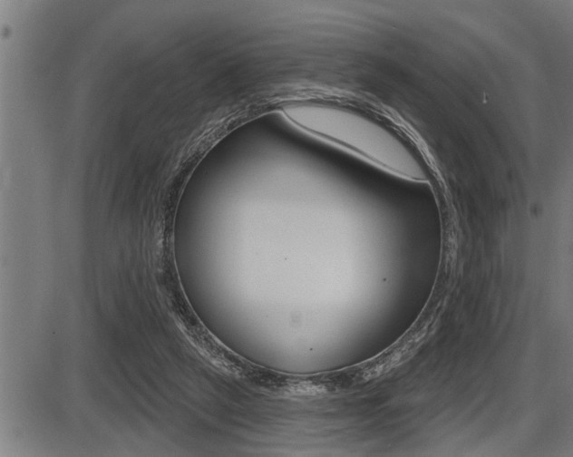 X0000087630257200705030734