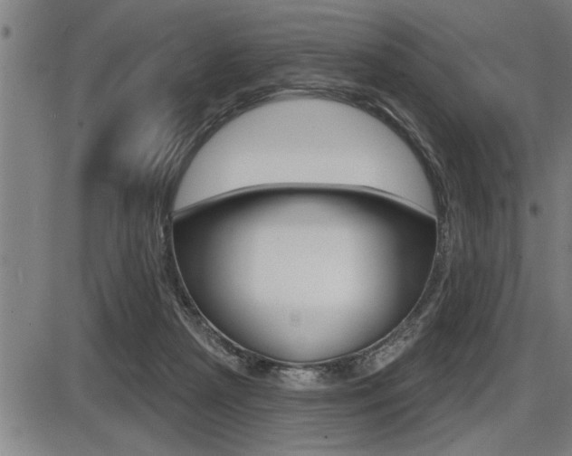 X0000087630265200705030735