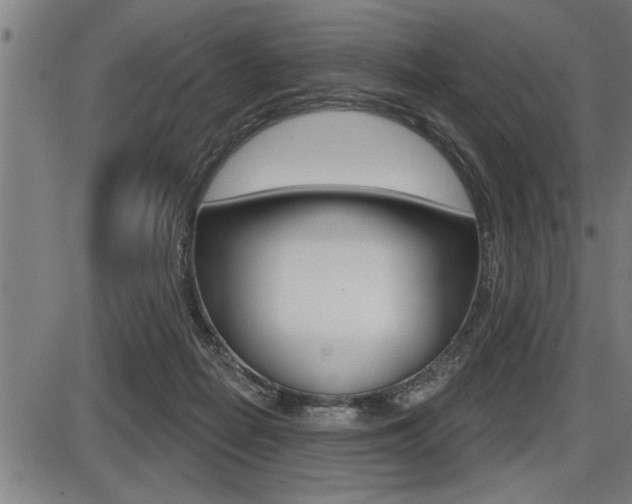 X0000087630266200705030735