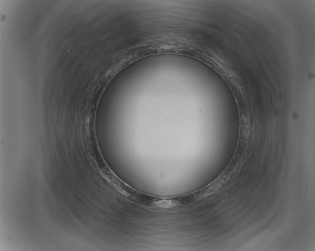 X0000087630269200705030735
