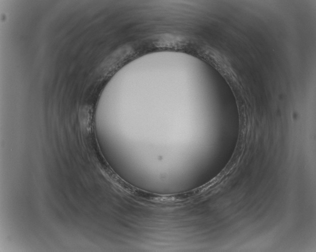 X0000087630273200705030735