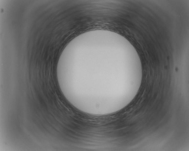 X0000087630276200705030735