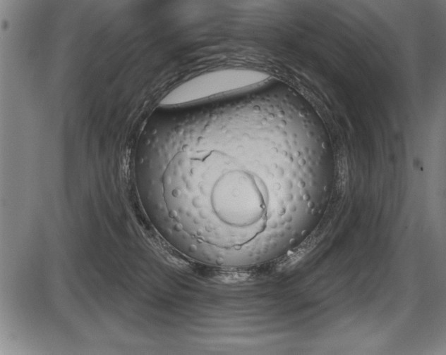 X0000087630278200705030735
