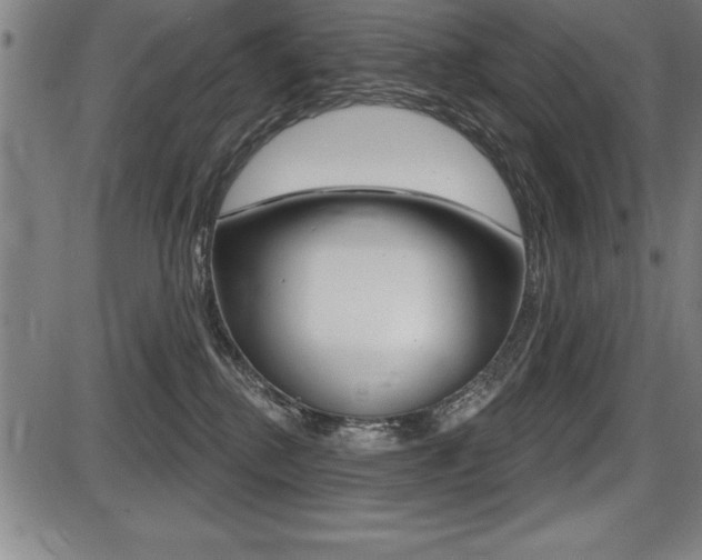 X0000087630280200705030735