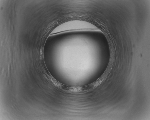 X0000087630288200705030735