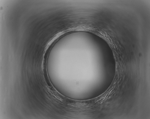 X0000087630292200705030734