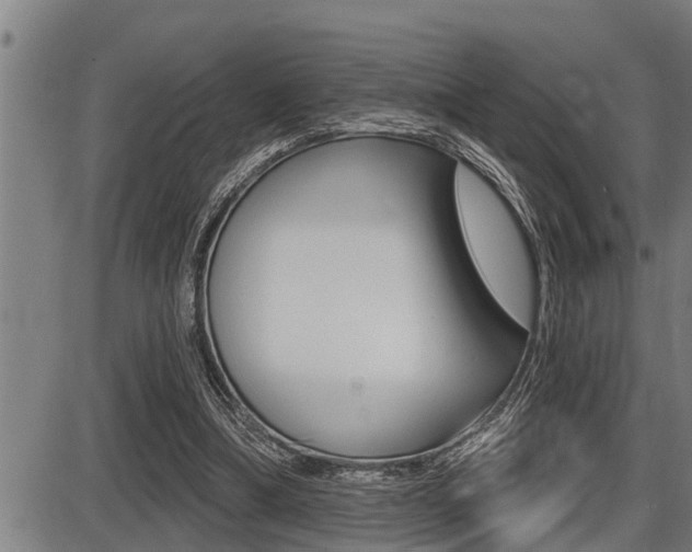 X0000087630298200705030734