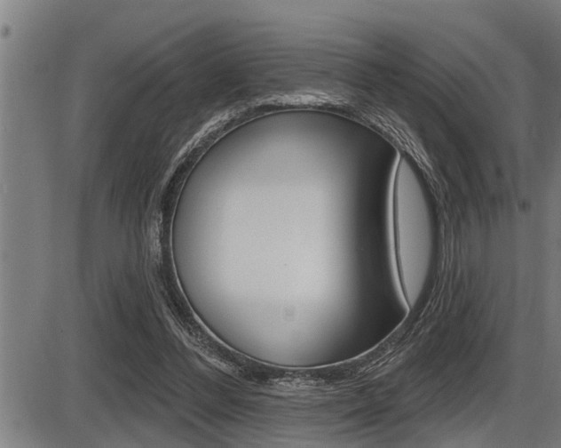 X0000087630300200705030734