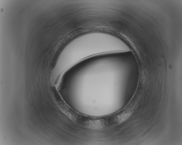 X0000087630307200705030734
