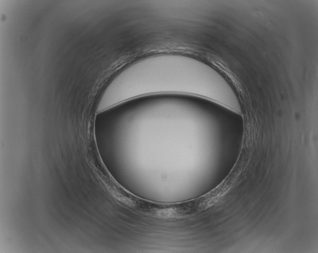 X0000087630309200705030734