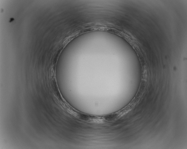 X0000087630318200705030734