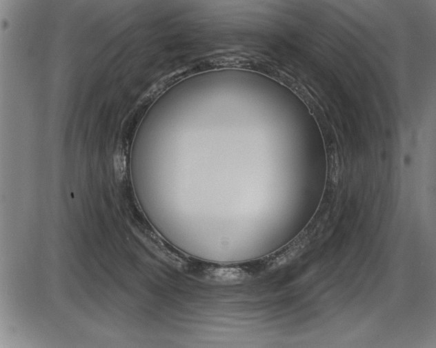 X0000087630324200705030734