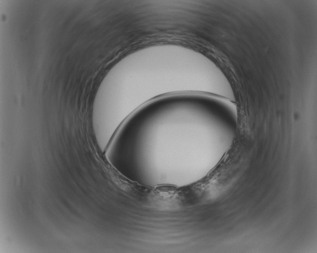 X0000087630329200705030733