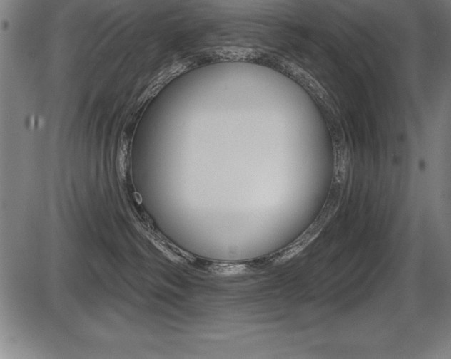 X0000087630334200705030733