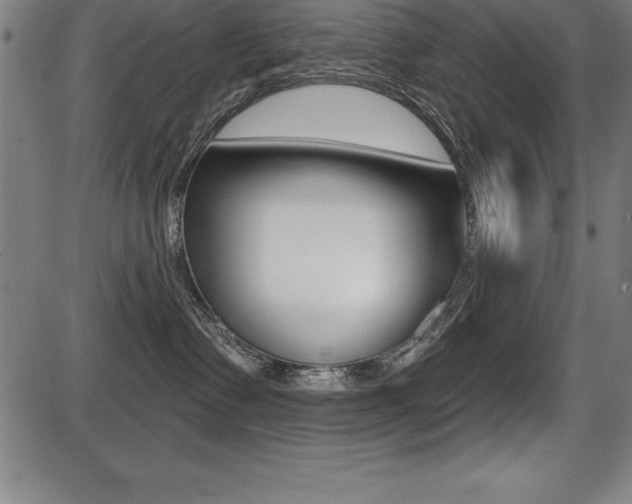 X0000087630335200705030733