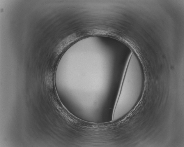 X0000087630345200705030733