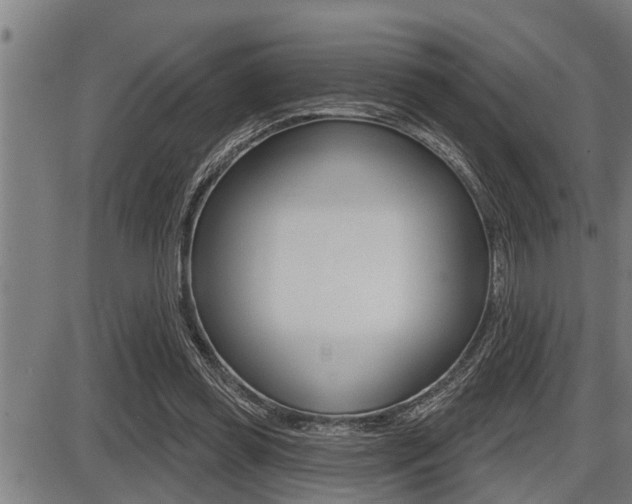 X0000087630349200705030733