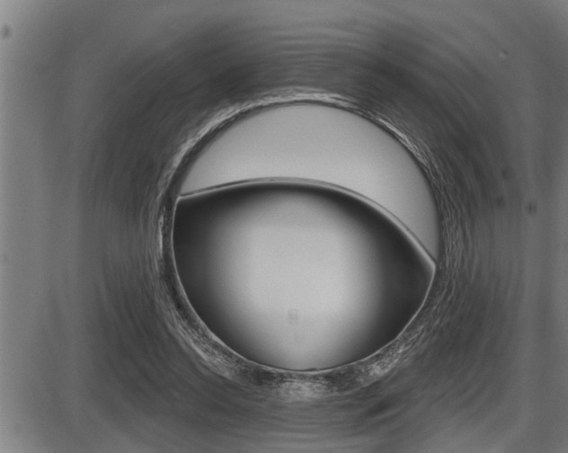 X0000087630350200705030733