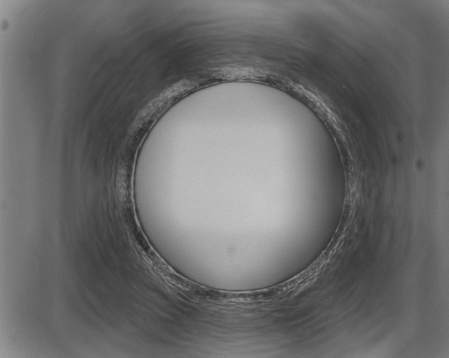 X0000087630353200705030733