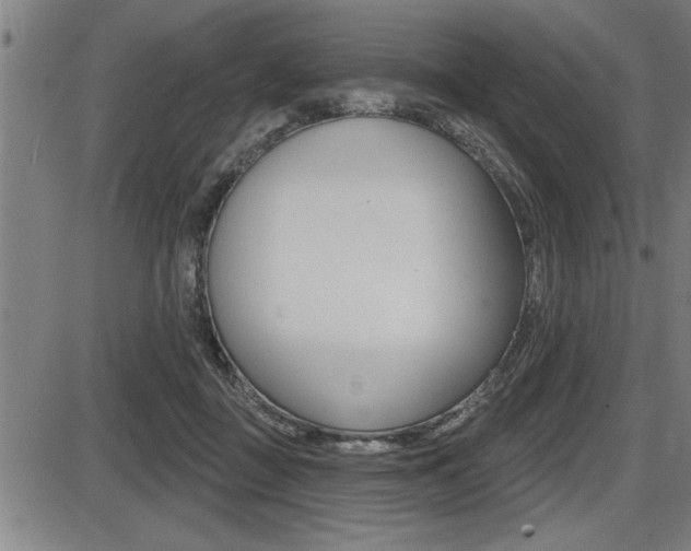 X0000087630363200705030733
