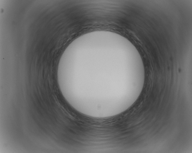 X0000087630368200705030733
