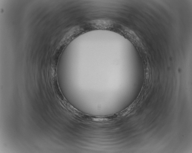 X0000087630371200705030733