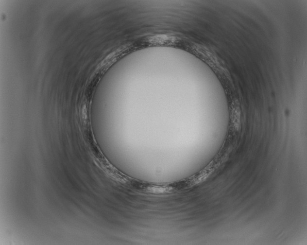 X0000087630375200705030733