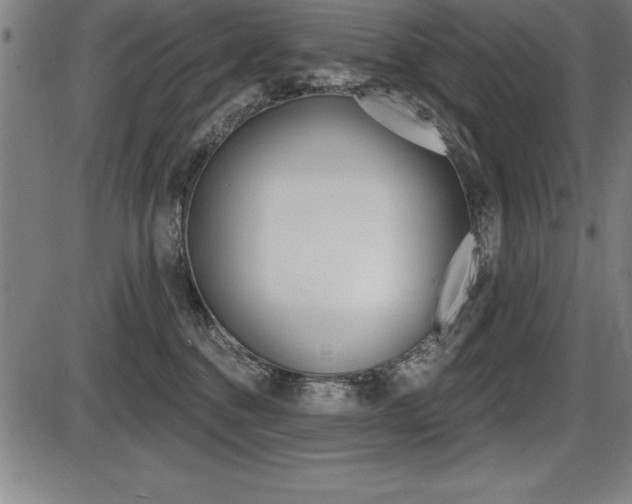 X0000087630376200705030733
