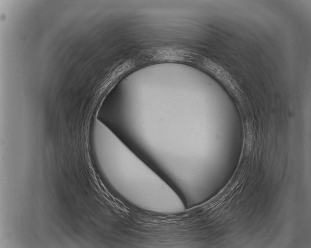 X0000087630386200705030733