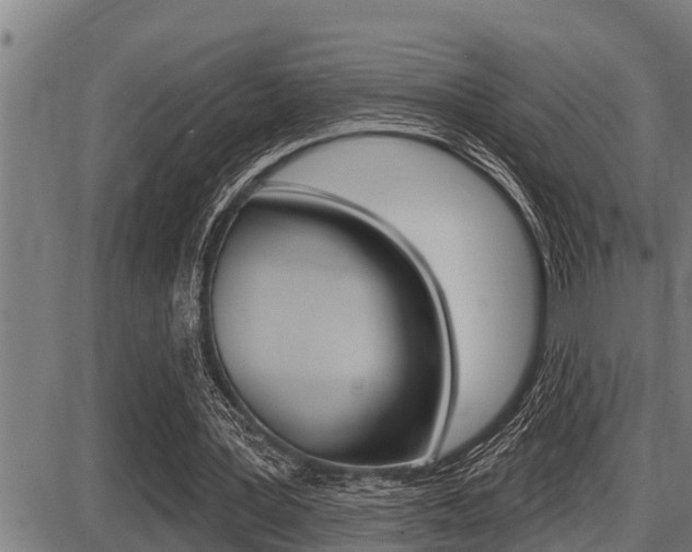 X0000087630387200705030733