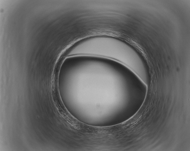 X0000087630388200705030732