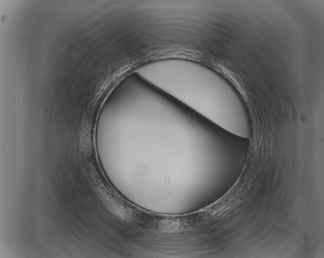 X0000087630394200705030732