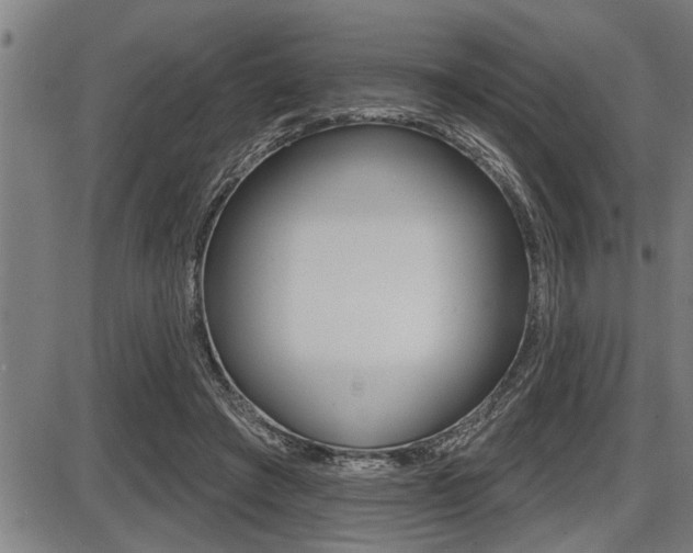 X0000087630401200705030732