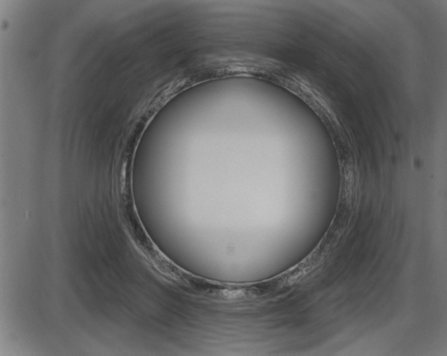 X0000087630406200705030732