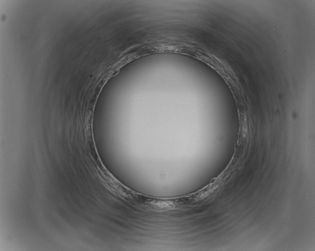 X0000087630409200705030732