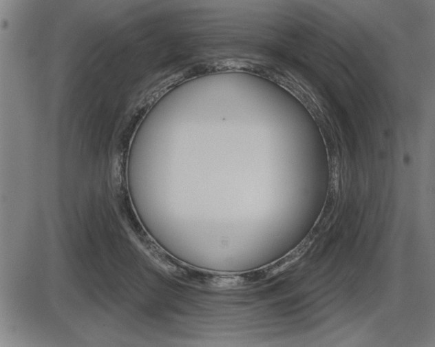X0000087630410200705030732