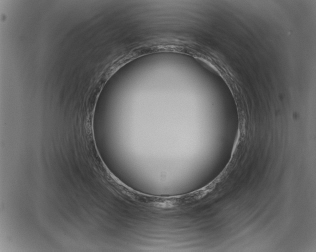 X0000087630411200705030732