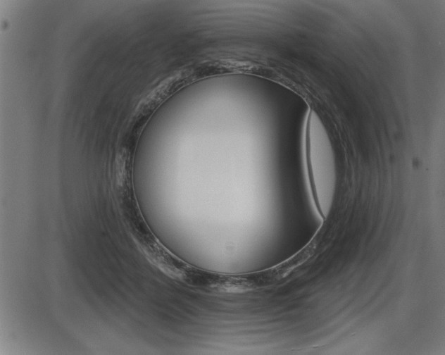 X0000087630412200705030732