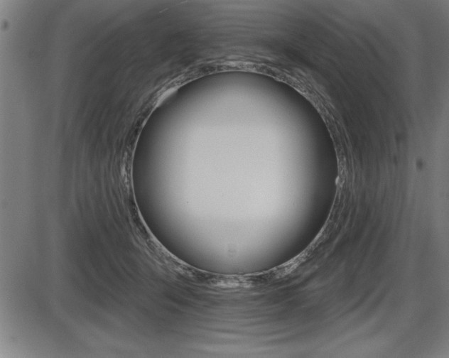 X0000087630415200705030732