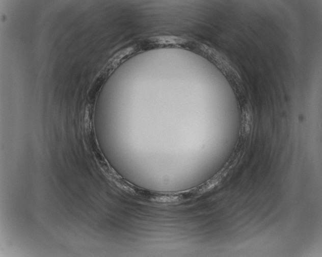 X0000087630422200705030732