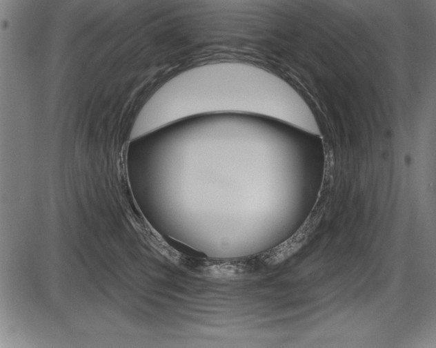 X0000087630423200705030732