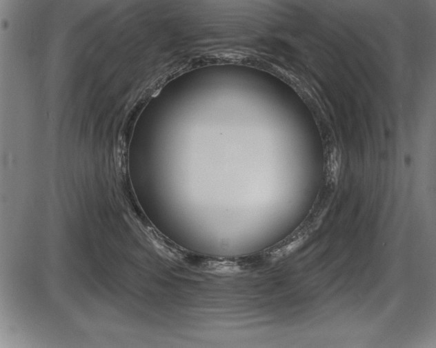 X0000087630424200705030732
